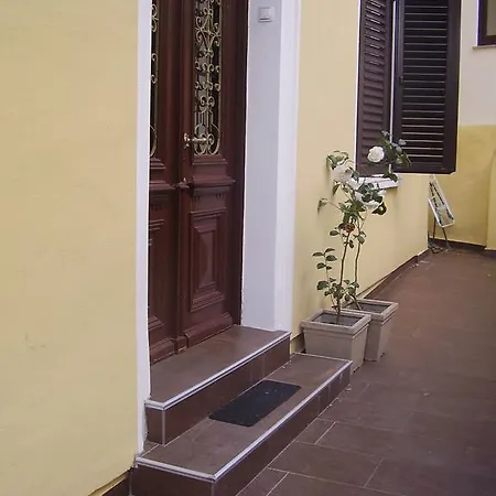 Vuzar Apartman *